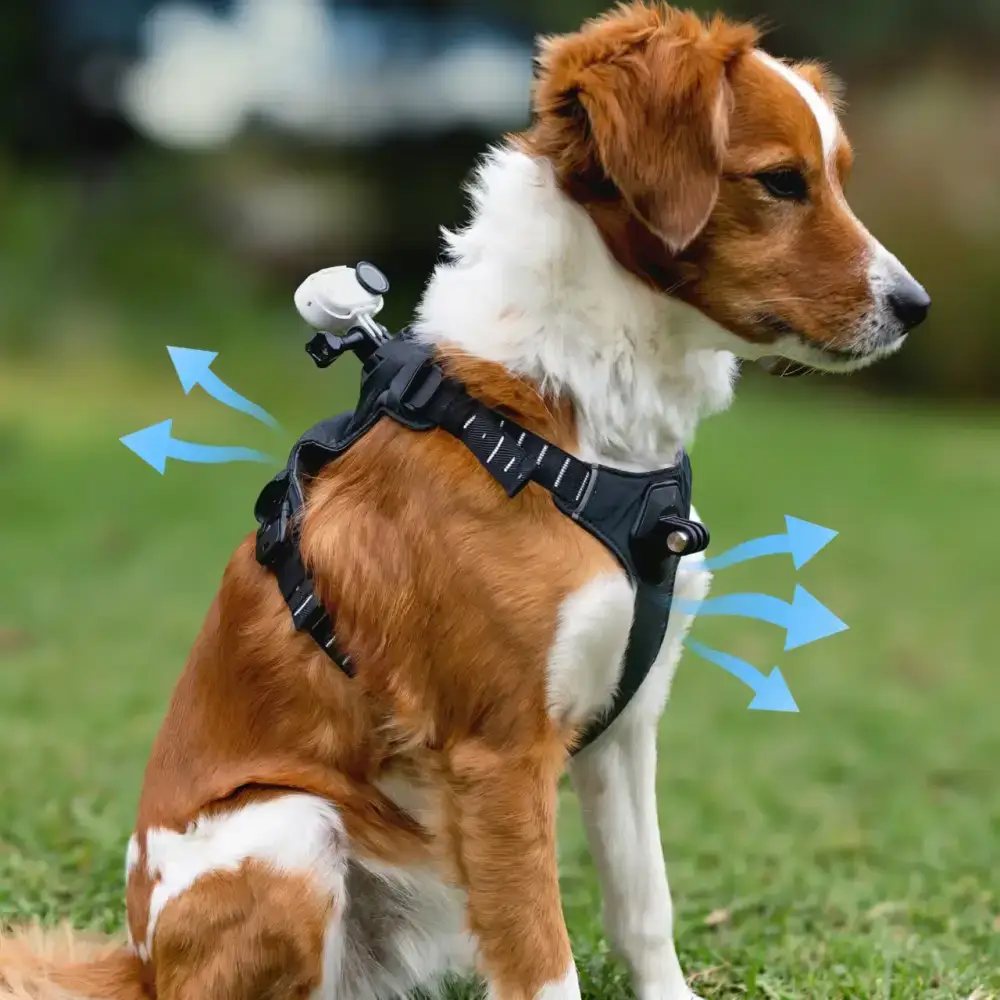 Insta360 GO 3S / GO 3 Pet Harness Mount - Image 3